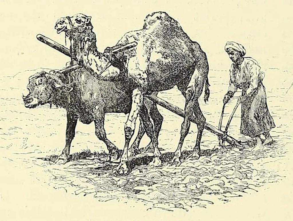 An illustration from The story of Africa and its explorers, 1892, leaf 36