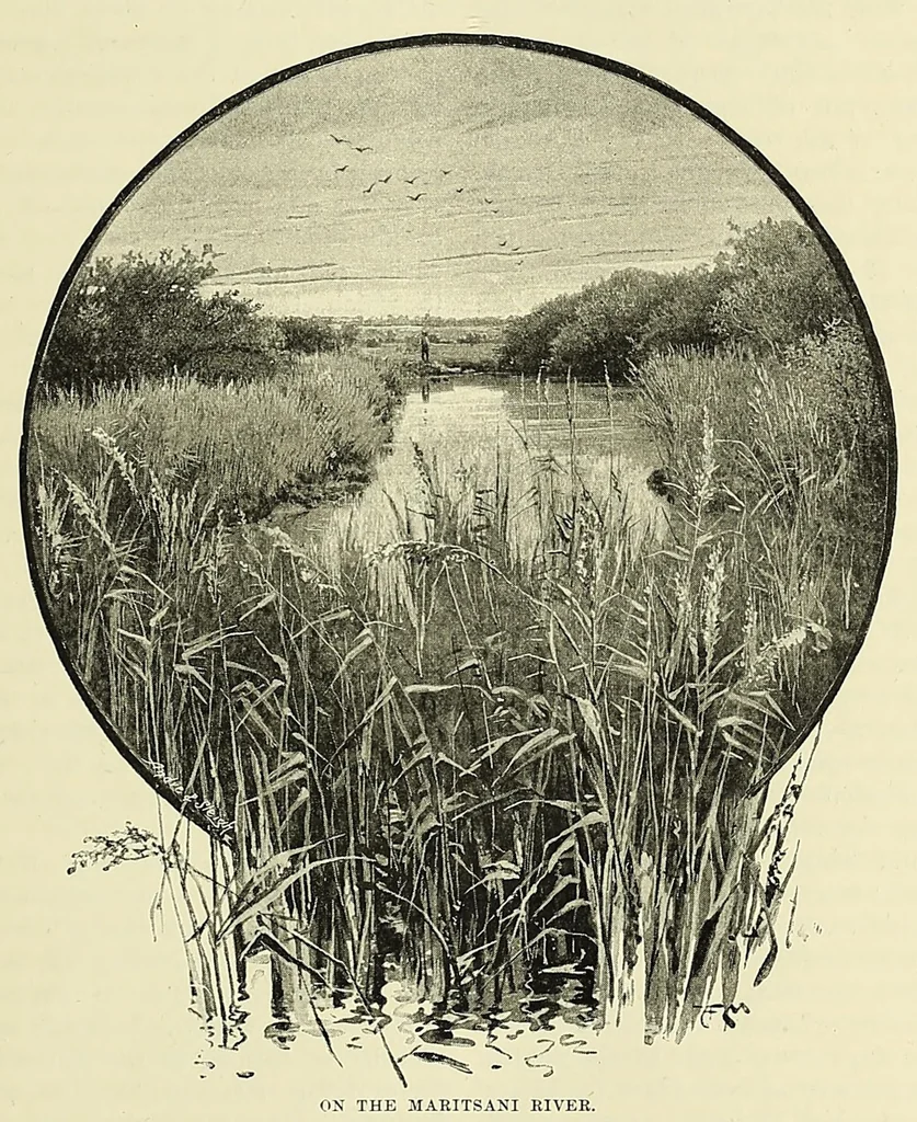 An illustration from The story of Africa and its explorers, 1892, leaf 225