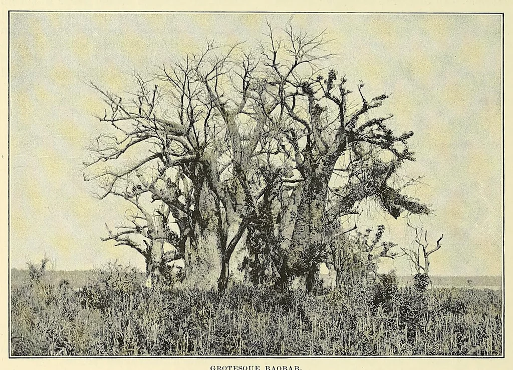 An illustration from The story of Africa and its explorers, 1892, leaf 312