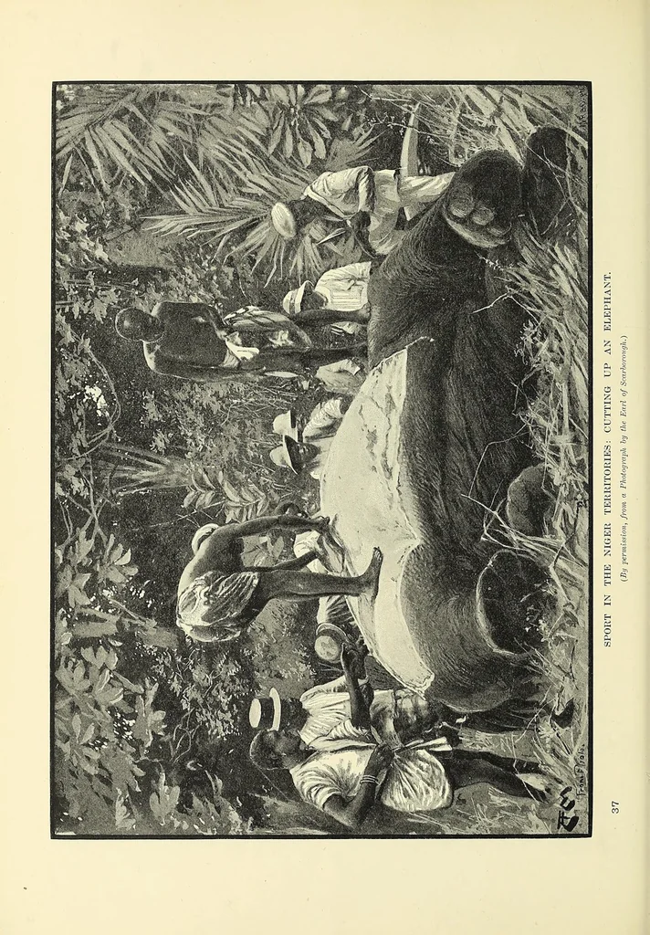 An illustration from The story of Africa and its explorers, 1892, leaf 220