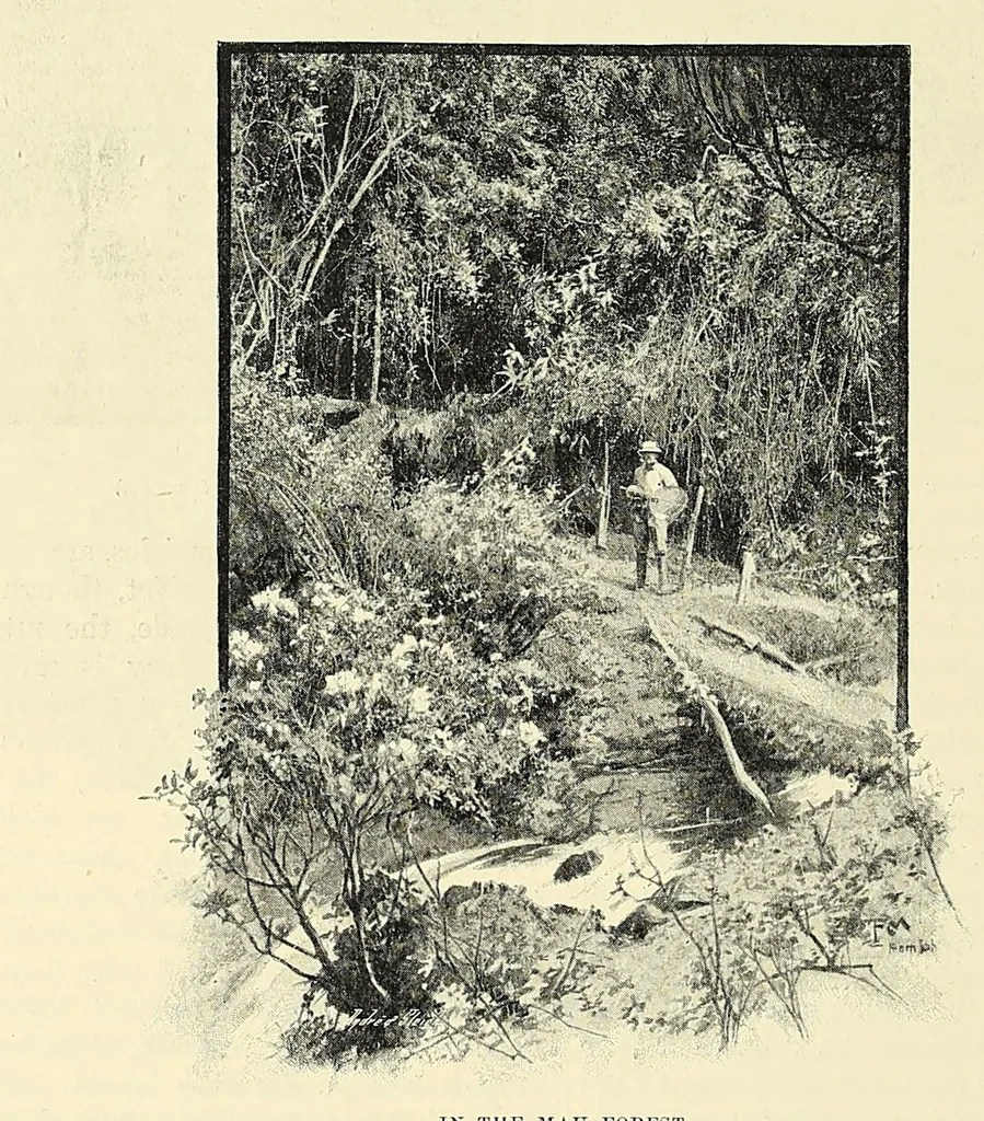 An illustration from The story of Africa and its explorers, 1892, leaf 264