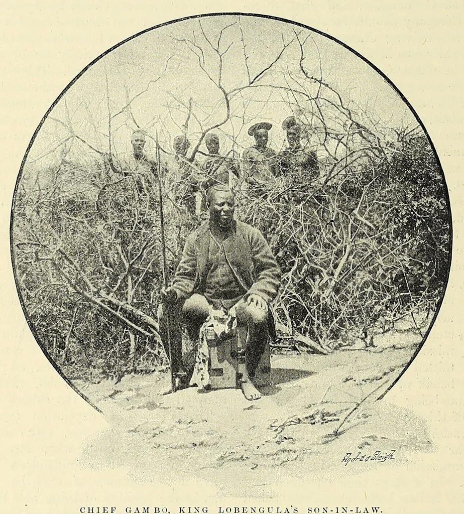 An illustration from The story of Africa and its explorers, 1892, leaf 282