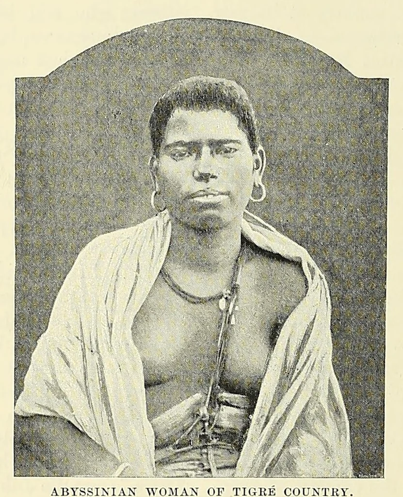An illustration from The story of Africa and its explorers, 1892, leaf 304