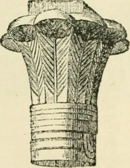 An illustration from The story of architecture: an outline of the styles in all countries, 1896, leaf 37