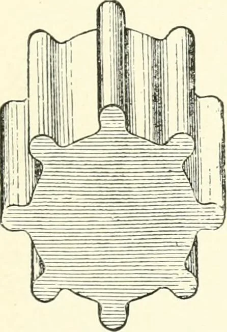 An illustration from The story of architecture: an outline of the styles in all countries, 1896, leaf 372