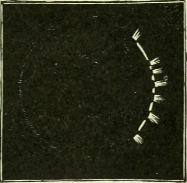 An illustration from The story of eclipses, 1912, leaf 52
