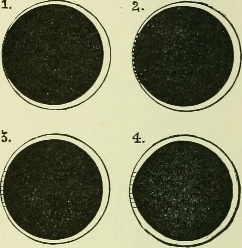 An illustration from The story of eclipses, 1912, leaf 53