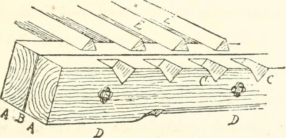 An illustration from The story of a house, 1874, leaf 256