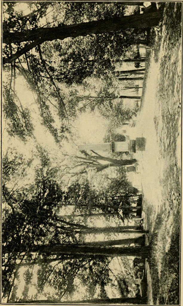 An illustration from The story of Patriots' day, Lexington and Concord, April 19, 1775;, 1895, leaf 126