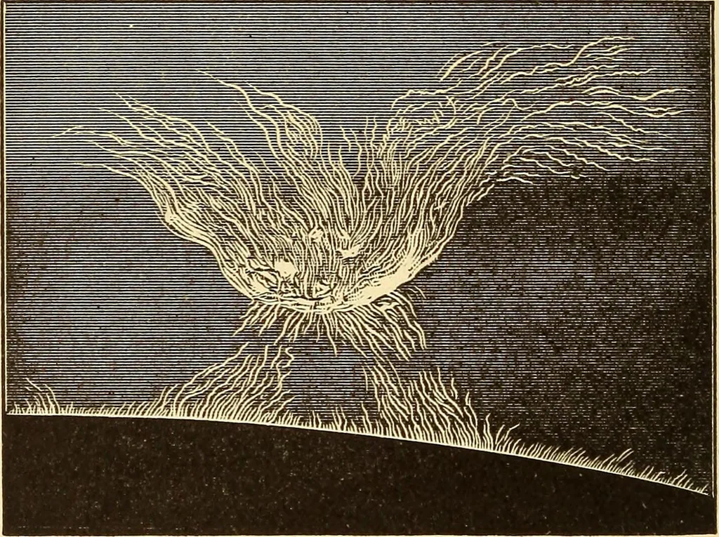 An illustration from The story of the sun, moon, and stars, 1898, leaf 143