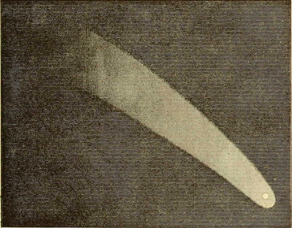 An illustration from The story of the sun, moon, and stars, 1898, leaf 252