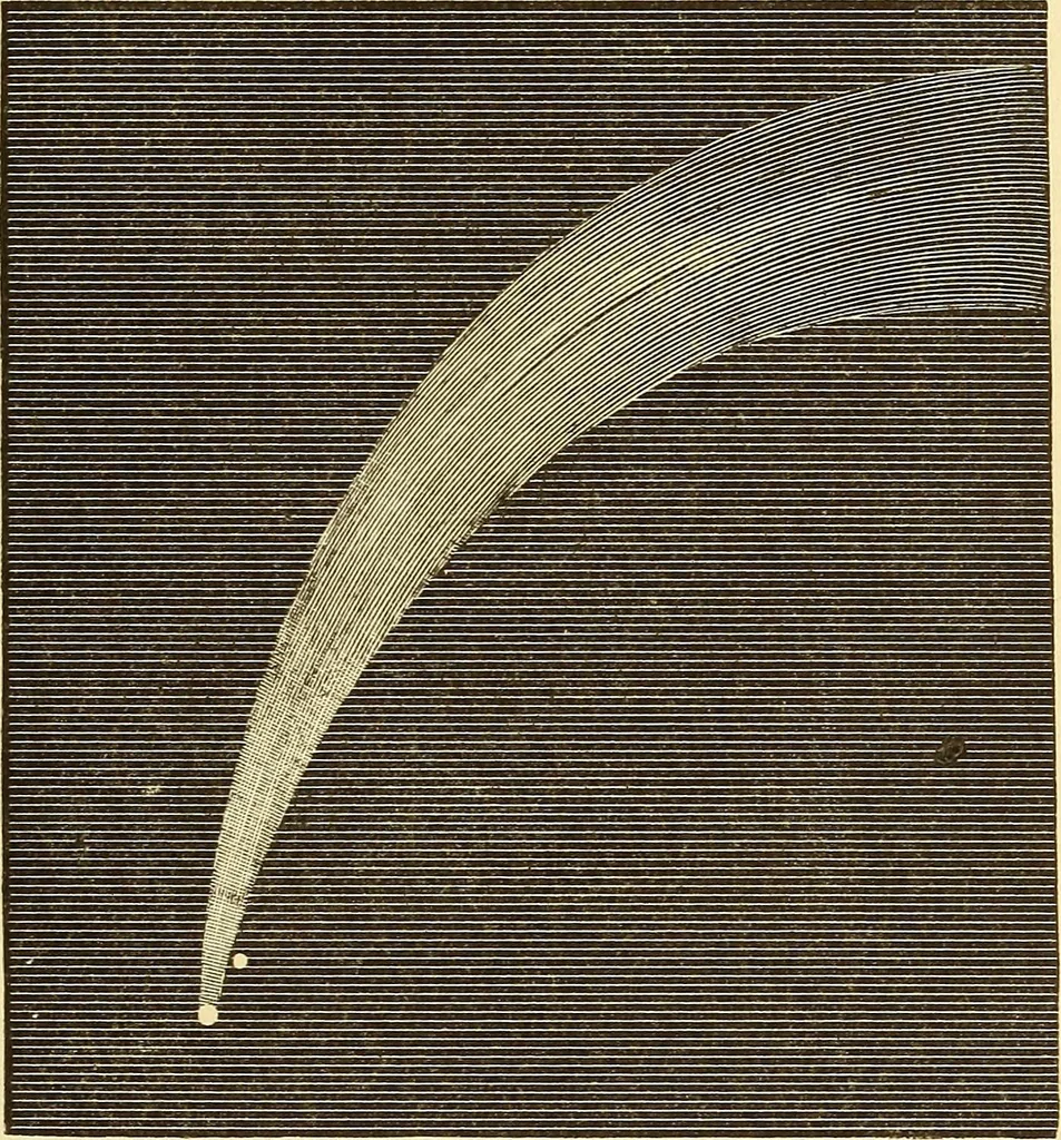 An illustration from The story of the sun, moon, and stars, 1898, leaf 254