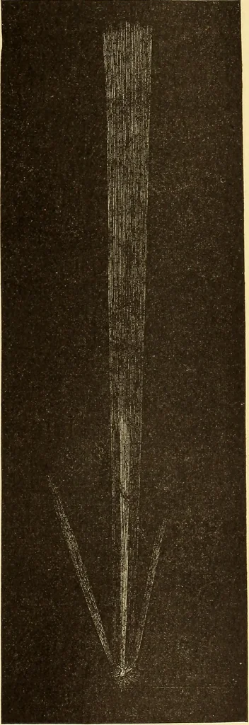 An illustration from The story of the sun, moon, and stars, 1898, leaf 266