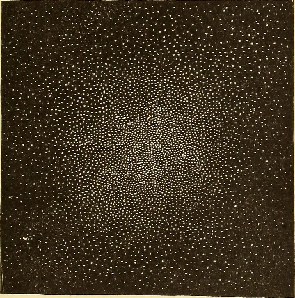 An illustration from The story of the sun, moon, and stars, 1898, leaf 310