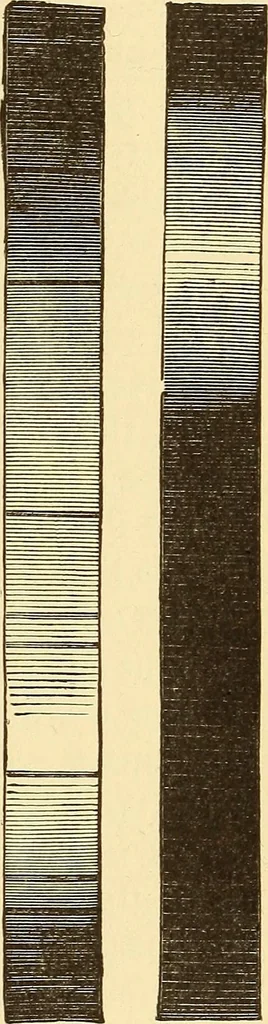 An illustration from The story of the sun, moon, and stars, 1898, leaf 352