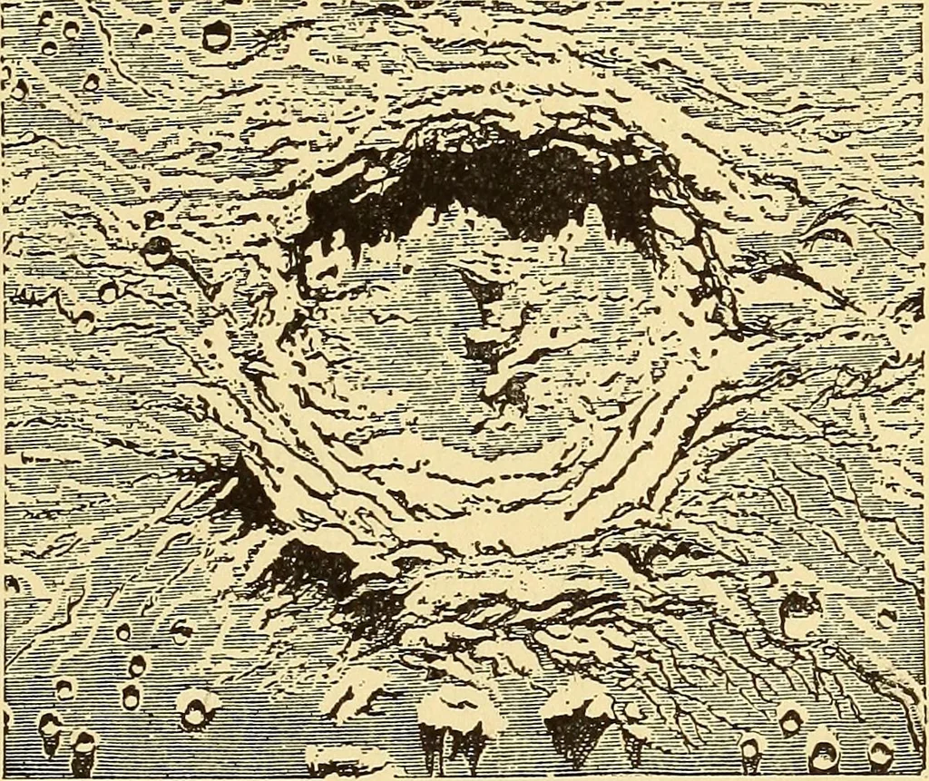 An illustration from The story of the sun, moon, and stars, 1898, leaf 74
