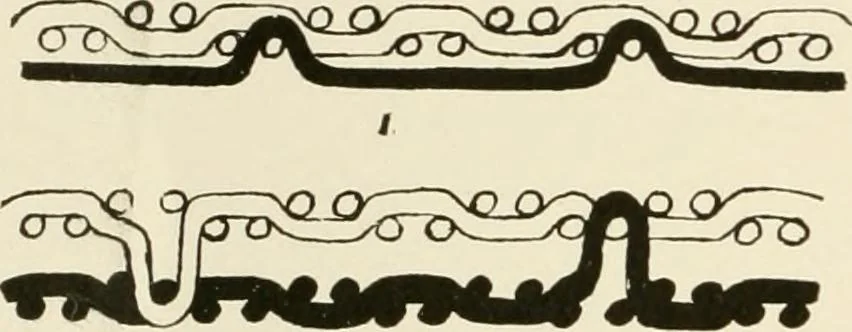 An illustration from The story of textiles, 1916, leaf 25