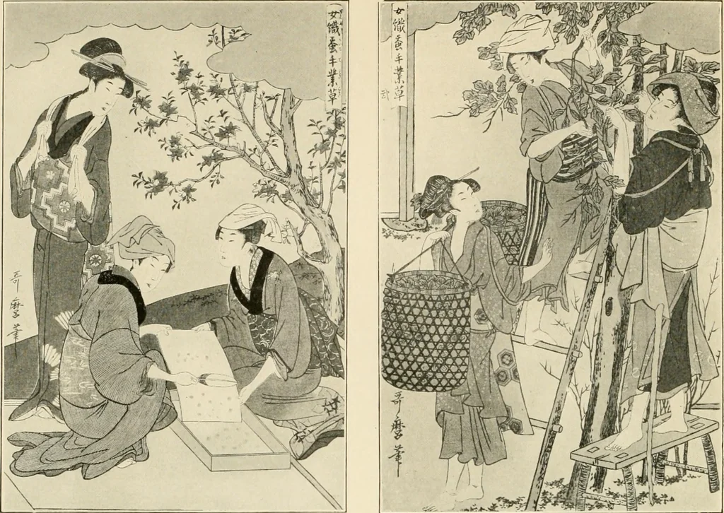 An illustration from The story of textiles, 1916, leaf 35