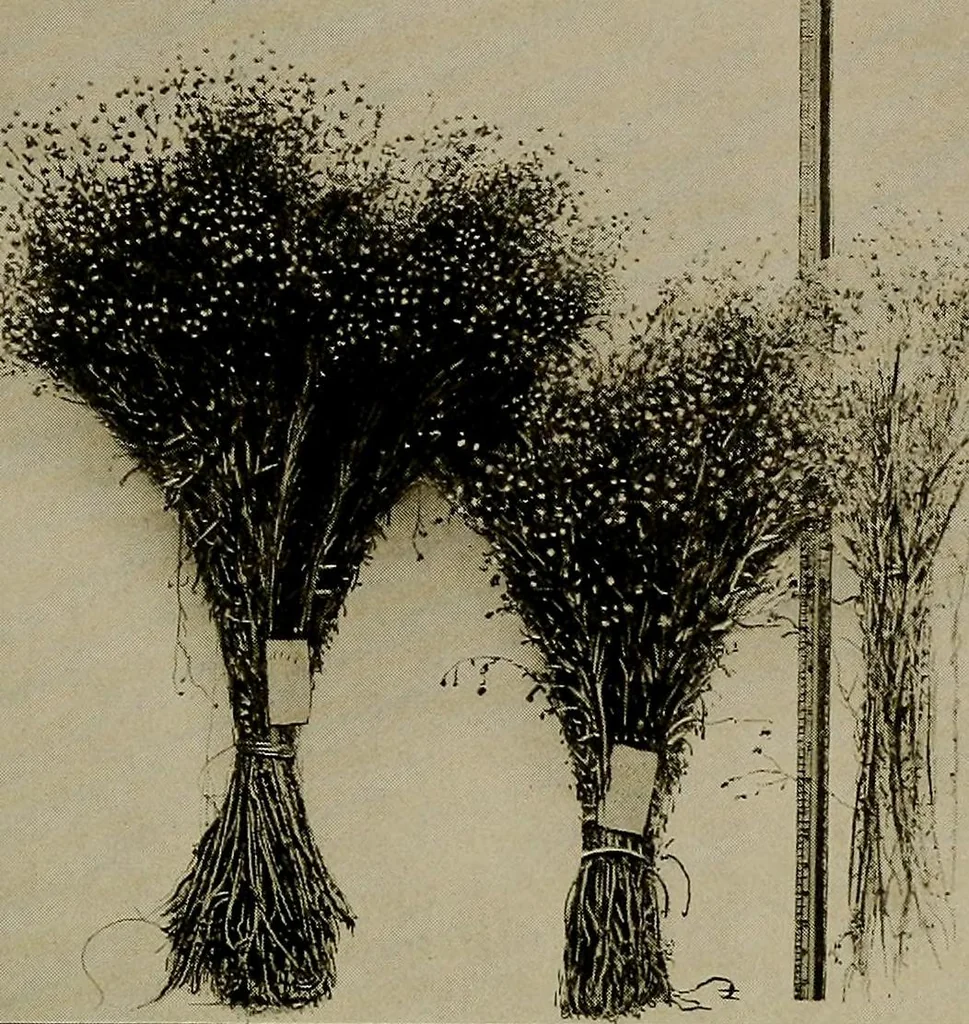 An illustration from The story of textiles; a bird's-eye view of the history of the beginning and the growth of the industry by which mankind is clothed, 1912, leaf 38