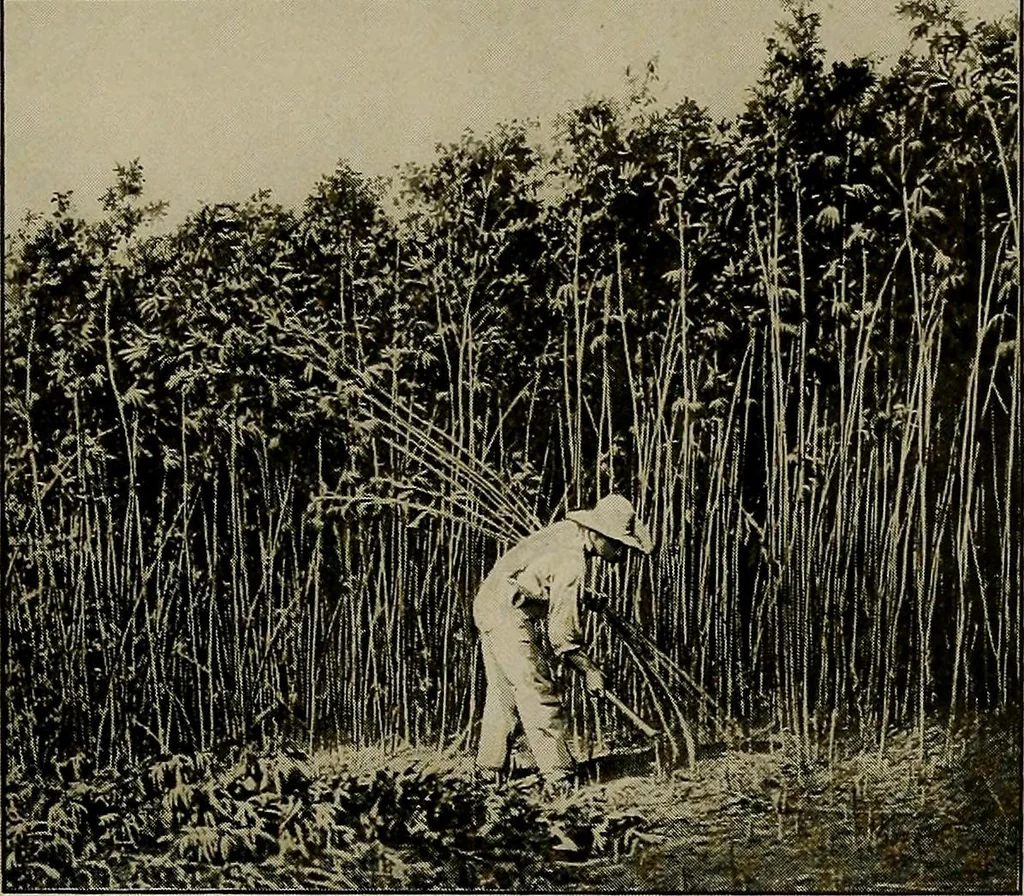 An illustration from The story of textiles; a bird's-eye view of the history of the beginning and the growth of the industry by which mankind is clothed, 1912, leaf 38