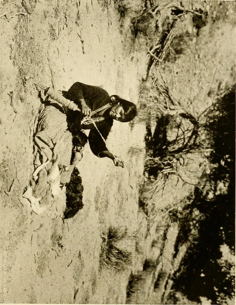 An illustration from The story of textiles; a bird's-eye view of the history of the beginning and the growth of the industry by which mankind is clothed, 1912, leaf 34