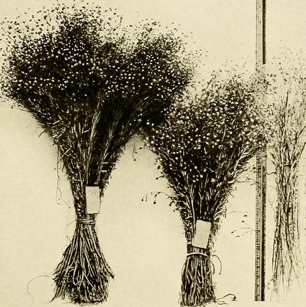An illustration from The story of textiles; a bird's-eye view of the history of the beginning and the growth of the industry by which mankind is clothed, 1912, leaf 40