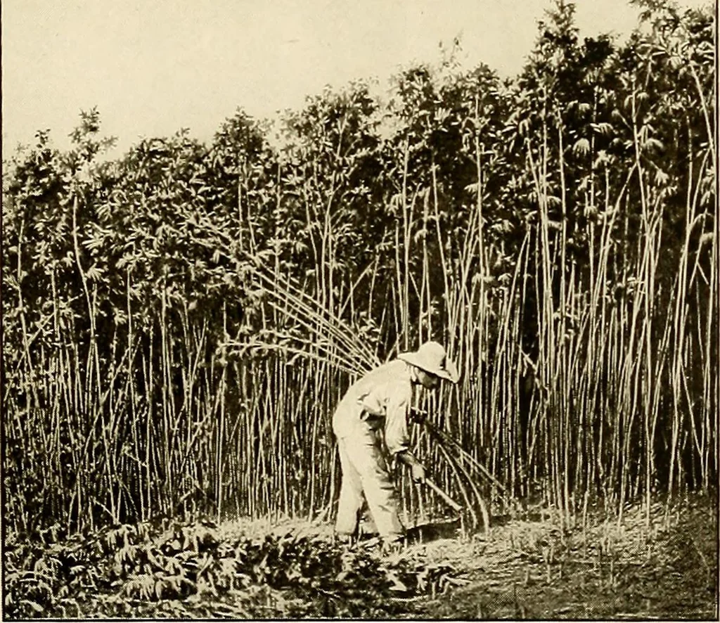 An illustration from The story of textiles; a bird's-eye view of the history of the beginning and the growth of the industry by which mankind is clothed, 1912, leaf 40
