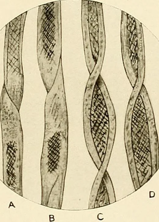 An illustration from The story of textiles; a bird's-eye view of the history of the beginning and the growth of the industry by which mankind is clothed, 1912, leaf 76