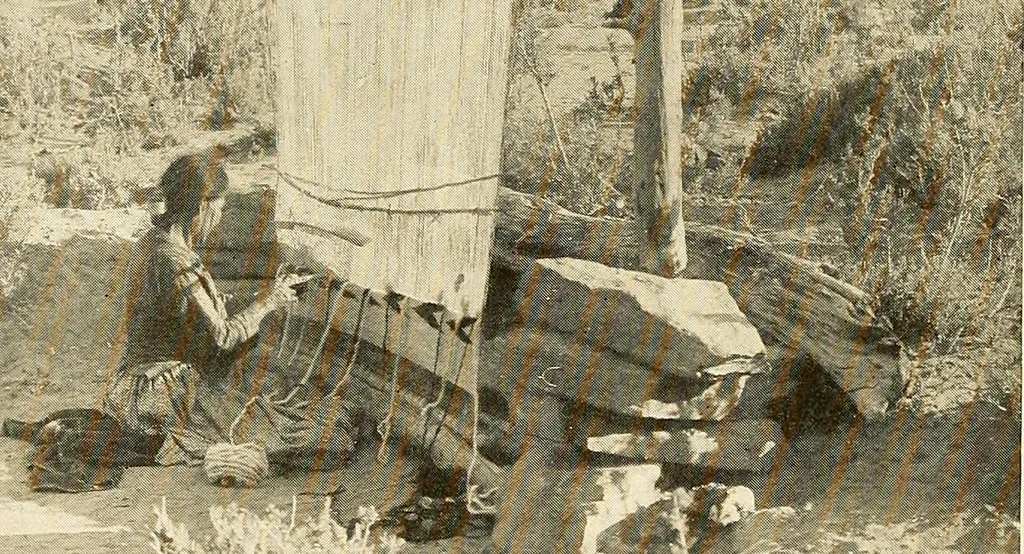 An illustration from The story of textiles; a bird's-eye view of the history of the beginning and the growth of the industry by which mankind is clothed, 1912, leaf 9