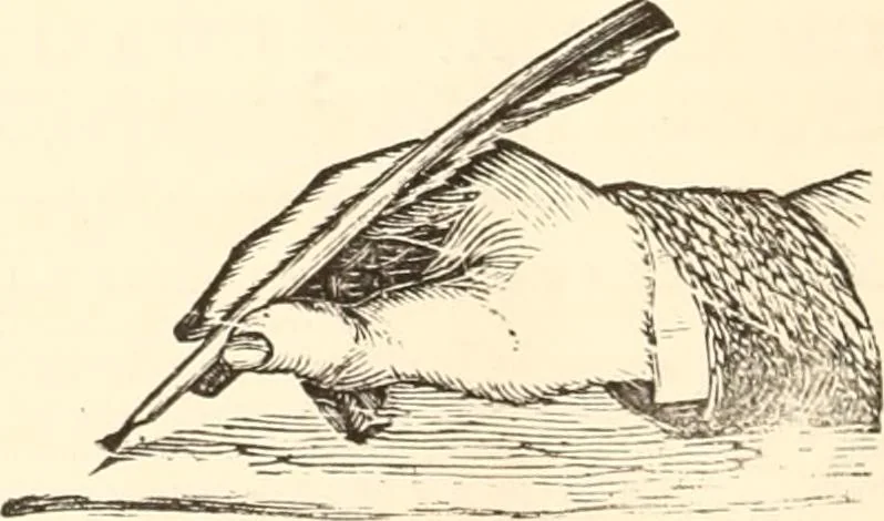 An illustration from The Stowe catalogue : priced and annotated, 1848, leaf 409