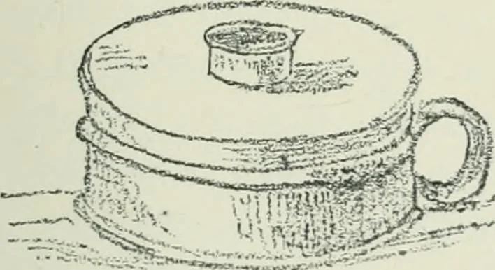 An illustration from Strange survivals : some chapters in the history of man, 1892, leaf 124