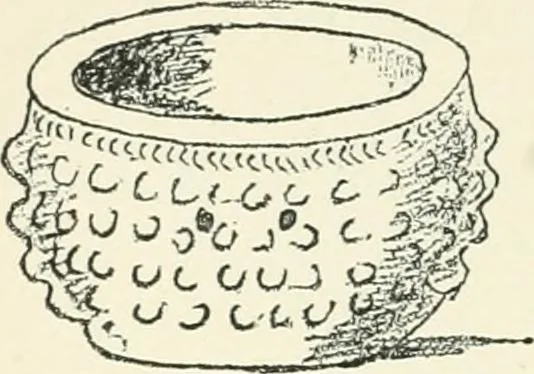 An illustration from Strange survivals : some chapters in the history of man, 1892, leaf 271