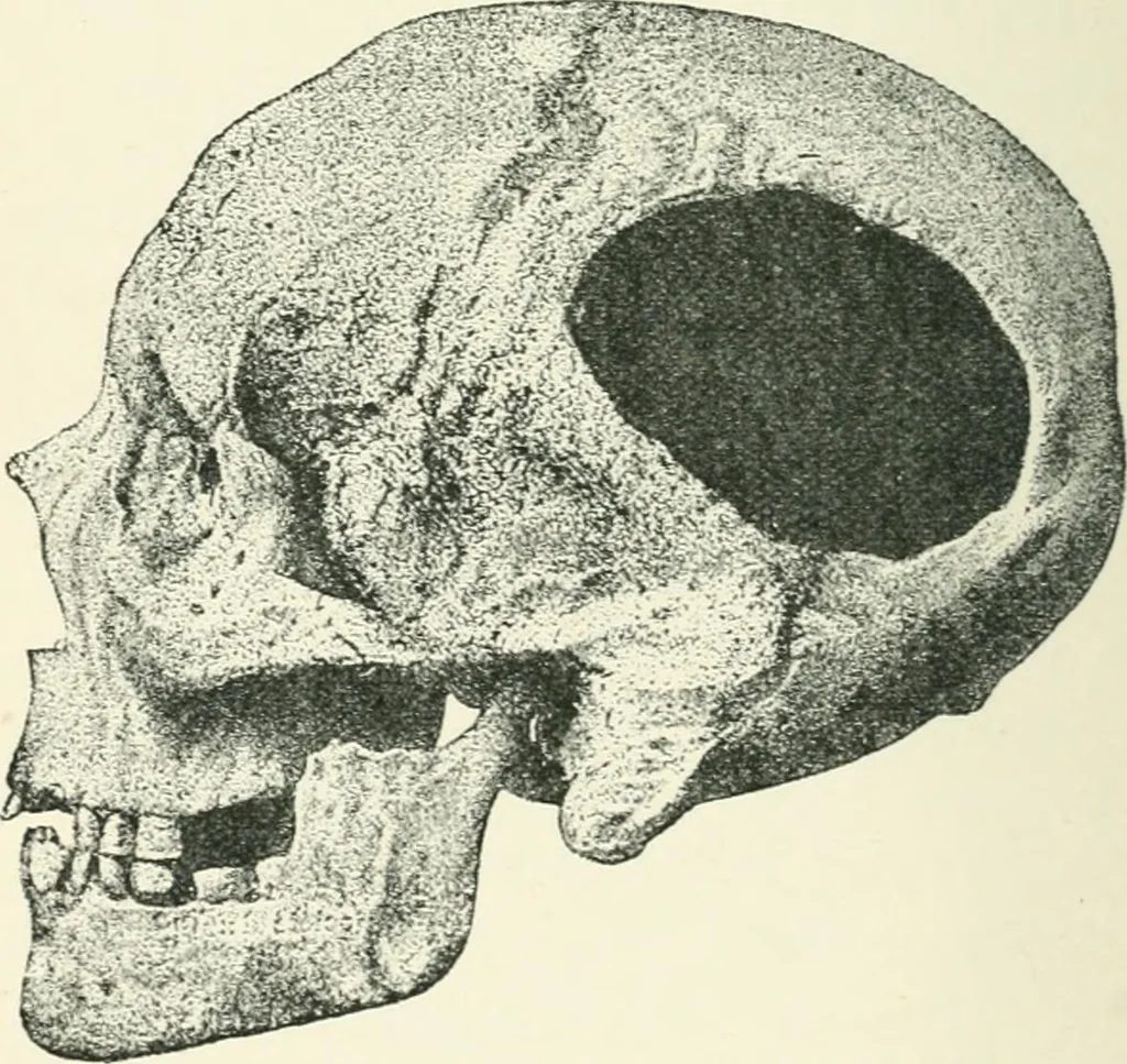 An illustration from Strange survivals : some chapters in the history of man, 1892, leaf 275