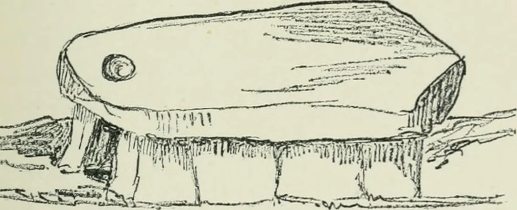 An illustration from Strange survivals : some chapters in the history of man, 1892, leaf 284