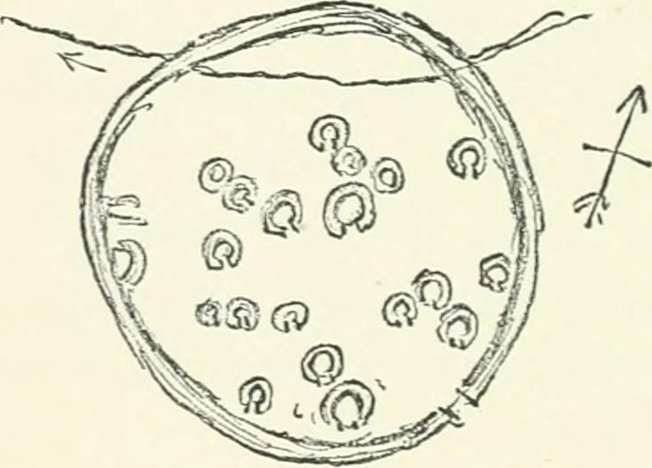 An illustration from Strange survivals : some chapters in the history of man, 1892, leaf 75