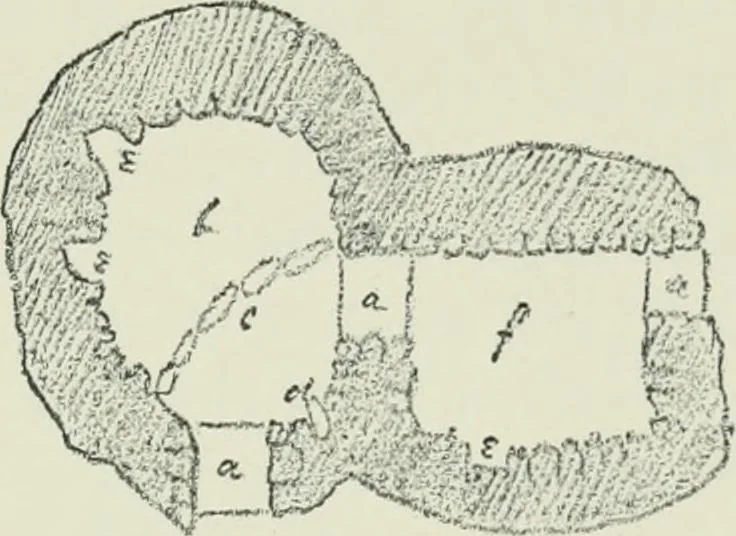 An illustration from Strange survivals : some chapters in the history of man, 1892, leaf 86