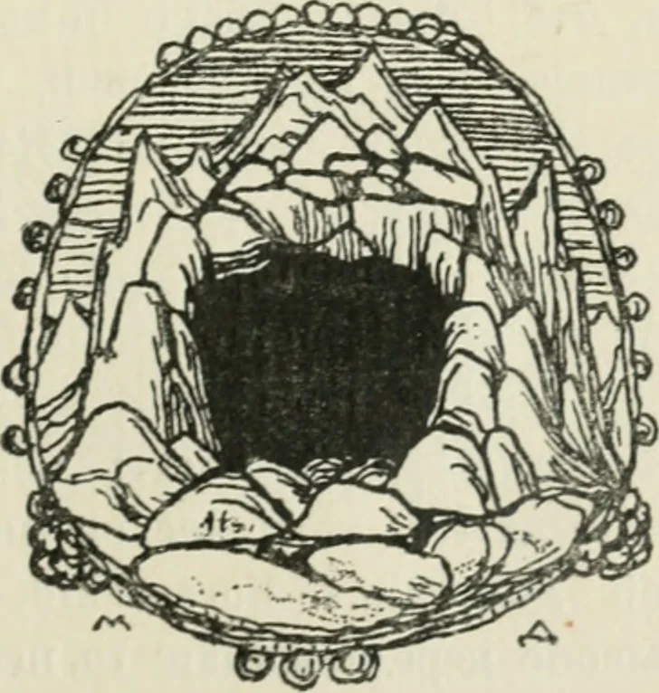 An illustration from Stranitsy khudozhestvenno kritiki, 1909, leaf 158