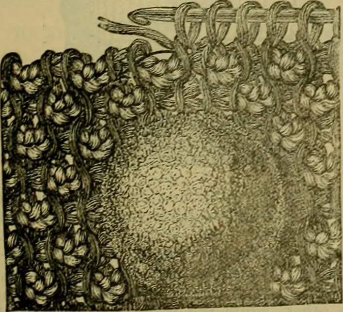 An illustration from Strawbridge & Clothier's quarterly, 1882, leaf 10