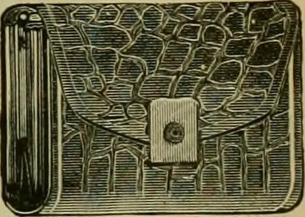 An illustration from Strawbridge & Clothier's quarterly, 1882, leaf 108
