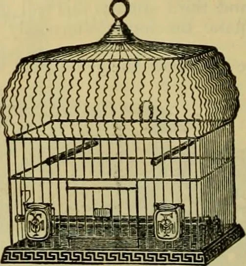 An illustration from Strawbridge & Clothier's quarterly, 1882, leaf 11