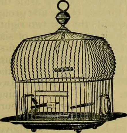 An illustration from Strawbridge & Clothier's quarterly, 1882, leaf 12