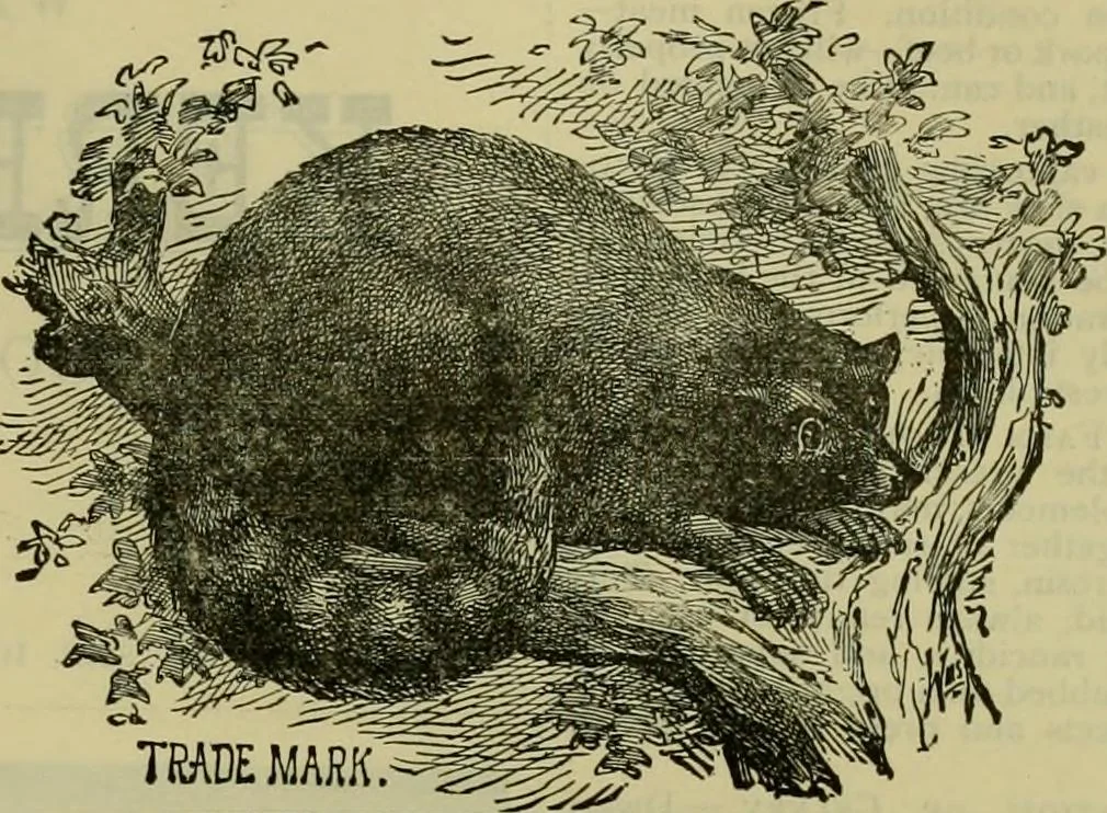 An illustration from Strawbridge & Clothier's quarterly, 1882, leaf 122