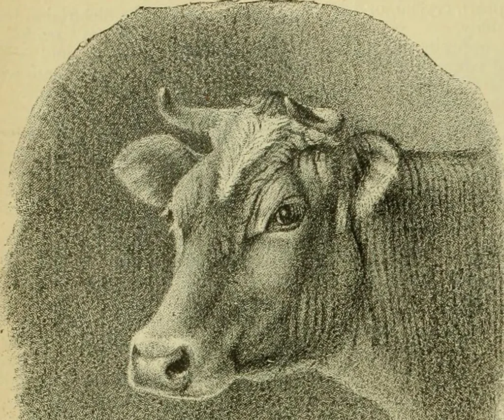 An illustration from Strawbridge & Clothier's quarterly, 1882, leaf 137