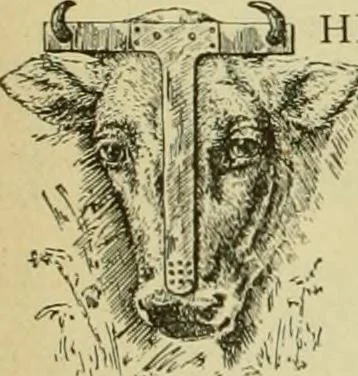 An illustration from Strawbridge & Clothier's quarterly, 1882, leaf 137