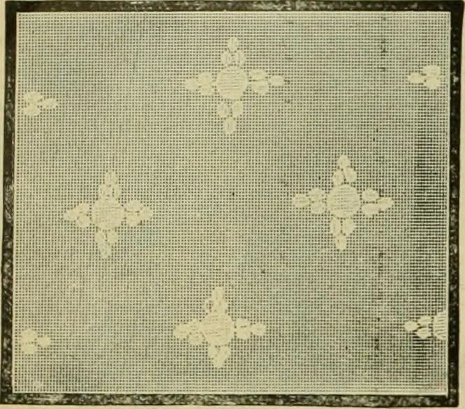 An illustration from Strawbridge & Clothier's quarterly, 1882, leaf 169