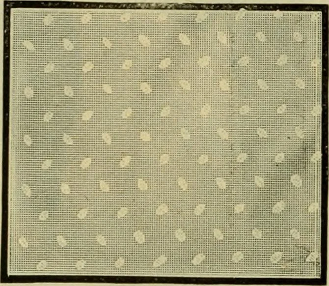 An illustration from Strawbridge & Clothier's quarterly, 1882, leaf 169