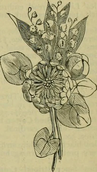 An illustration from Strawbridge & Clothier's quarterly, 1882, leaf 180