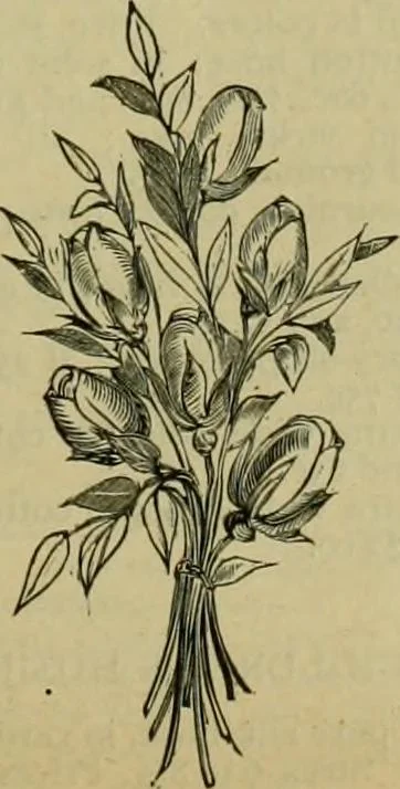 An illustration from Strawbridge & Clothier's quarterly, 1882, leaf 180