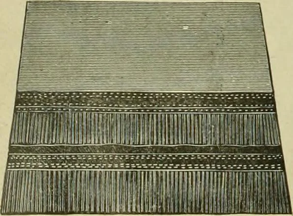 An illustration from Strawbridge & Clothier's quarterly, 1882, leaf 187
