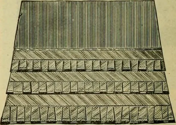 An illustration from Strawbridge & Clothier's quarterly, 1882, leaf 187